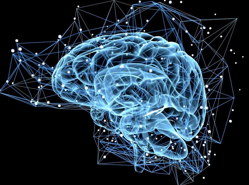 استخدام الذكاء الاصطناعي والتعلم الآلي لفهم كيفية عمل الدماغ