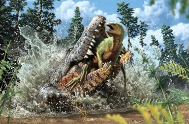 أوضح الباحثون أن تعايش الديناصورات مع التمساح قد بدأ في العصر الترياسي إذ اكتشفوا أحفورة تمساح التهم ديناصورًا في وجبته الأخيرة