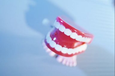 هل تستطيع مينا الأسنان إصلاح نفسها؟ هل تصنف الأسنان بأنها عظام؟ ومن أين تبزغ؟ من أي ينتبت السن ومتى؟ هل السن أكثر هشاشة من العظام؟