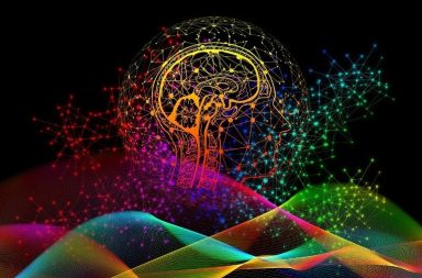 كيف يعالج الدماغ ماههية الأجسام التي تراها أمامك وكيف يفهم أي من الحدةد التي يمثلها الجسم هي الواجهة وأي منها الخلفية؟ الحدود المرئية الدماغ