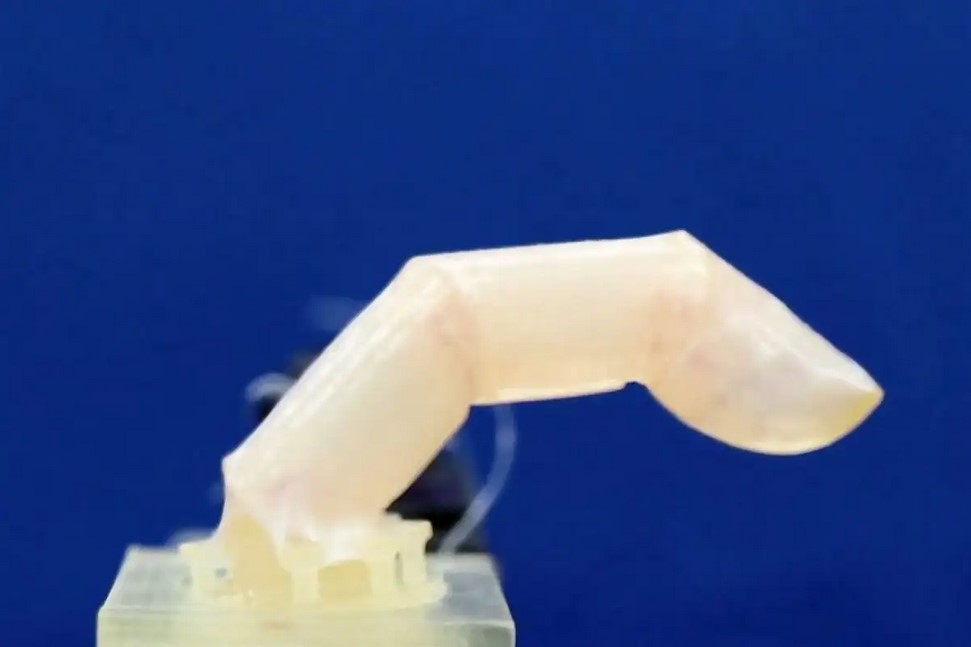 باحثون من جامعة طوكيو يكسون جزءًا من روبوت بجلد بشري حي