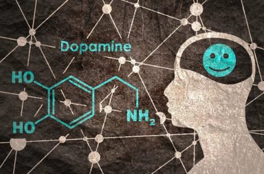 مستويات الدوبامين العالية مقابل النسب المنخفضة وتأثيرها في الاضطرابات النفسية التي تصيب الدماغ. ما دور الدوبامين في الجسم وما أهميته؟