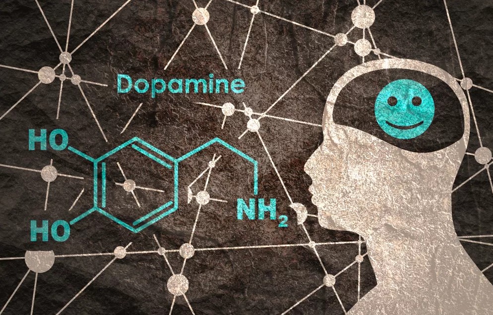 الدوبامين وعلاقته بالأمراض النفسية