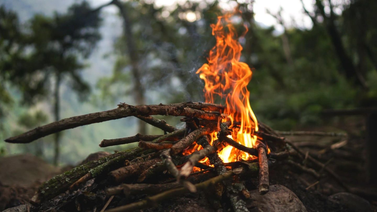 دراسة تشير إلى بدء البشر استخدام النار منذ مليون سنة مضت