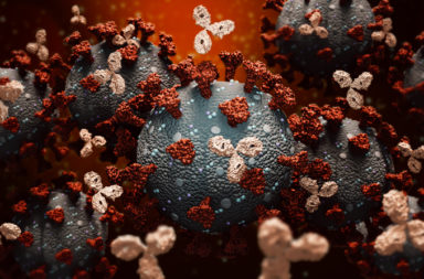 ما الأجسام المضادة وحيدة النسيلة ولم نحتاجها إضافة إلى اللقاح - العلاجات التجريبية التي تلقاها المصابون بكوفيد-19 - تثبيط تكاثر الفيروسات في الخلايا البشرية
