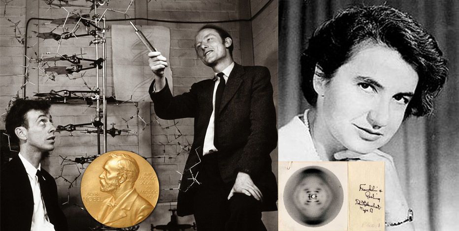 هل سرق واتسون و كريك جائزة نوبل من روزاليند فرانكلين ؟
