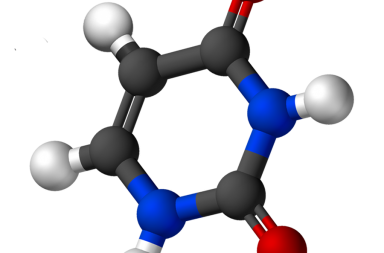 الأحماض النووية مثل DNA وRNA هي بوليمرات (مركبات مكونة من وحدات جزيئية متكررة) لنيوكليوتيدات أحادية، منها اليوراسيل. تعرف عليه