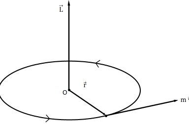 الزخم الزاوي في الفيزياء خصائص حركات الدوران المكافئ الدوراني للزخم الخطي الميكانيكا النيوتونية عزم الدوران الخارجي الدوران دوران الجسم