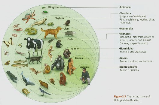 الطبيعة المتداخلة للتصنيف البايلوجي المصدر :- Carl Zimmer (2013) Evolution. Making Sense of Life, page 35