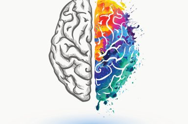 ما هو التخصيص الوظيفي لنصفي الدماغ؟ كيف يتم التواصل بين نصفي الدماغ الأيمن والأيسر؟ التواصل السريع الذي يربط بين نصفي الدماغ