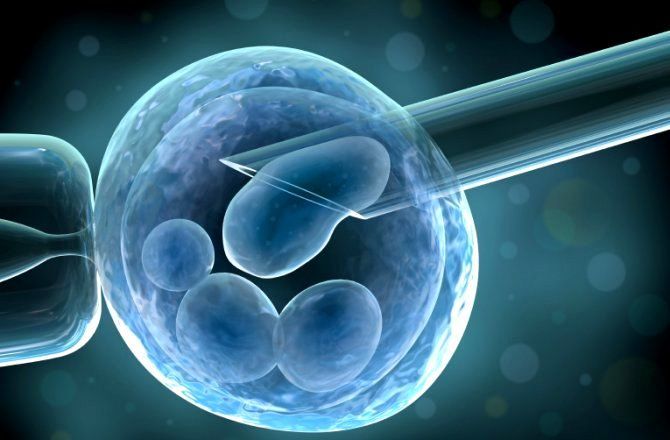 هل تستطيع الخلايا الجذعية إنماء جميع أنواع الأنسجة؟