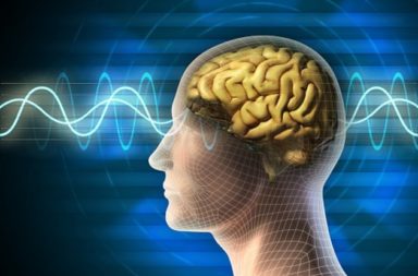 دماغ حاسوبي يتمكن من محاكاة المرونة قصيرة الأمد وطويلة الأمد للتشابك العصبي الموجود في الدماغ البشري - الترانزستورات التشابكية