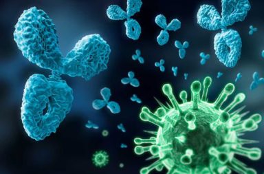 ما هي الأجسام المضادة وكيف يتم اختبار الكشف عنها - بروتينات ترتبط بالأجسام الغريبة التي تغزو الجسم - الأضداد - جهاز المناعة