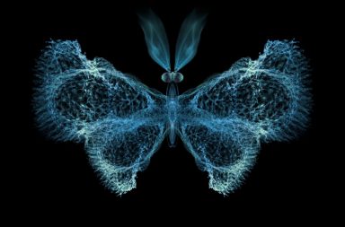 اكتشاف أثر الفراشة على جينات الخلايا الجذعية - كيف يؤثر البروتين يؤثر على عملية نسخ تتابعات التيلومير في نهاية الكروموسومات؟