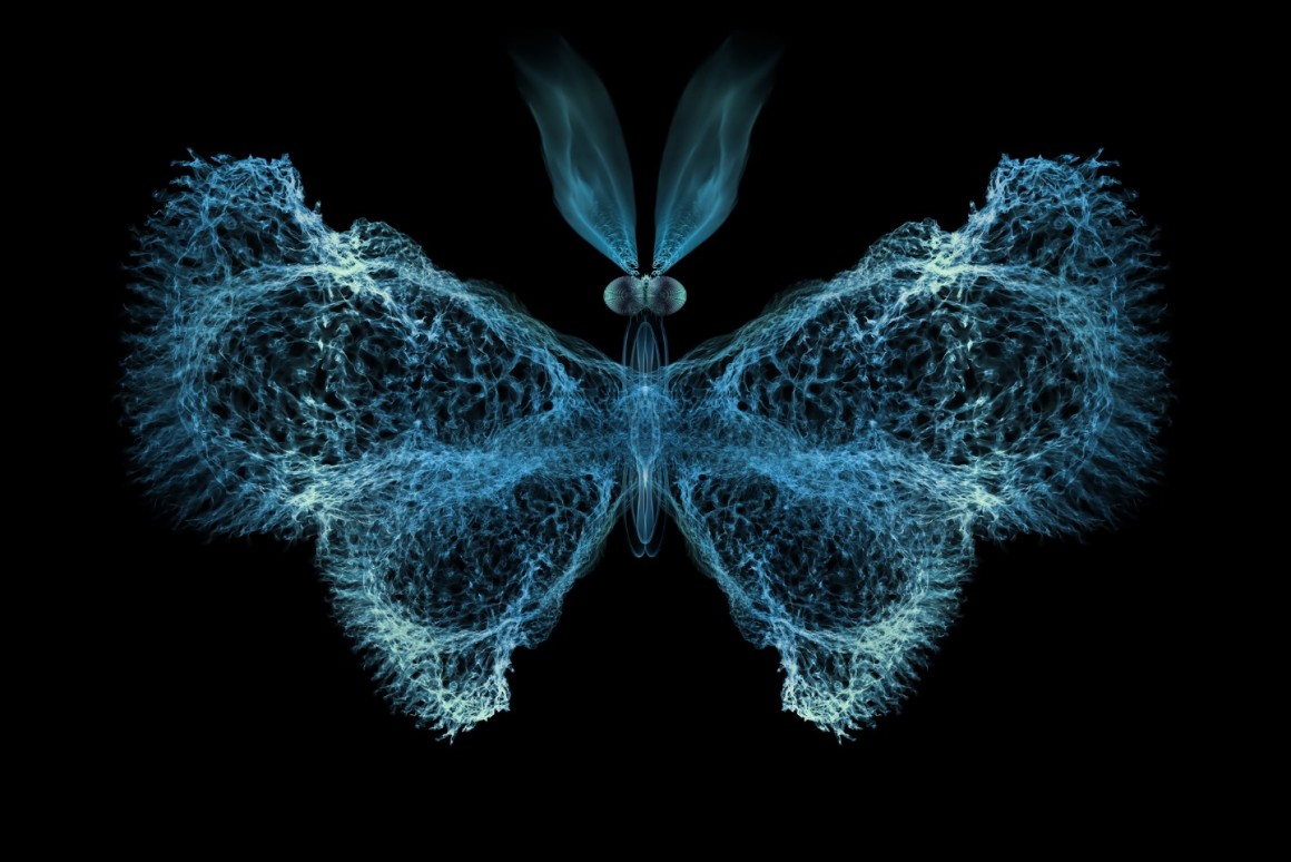 اكتشاف أثر الفراشة على جينات الخلايا الجذعية