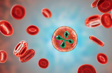 داء البابسيات عدوى نادرة مهددة للحياة تصيب خلايا الدم الحمراء، وينتشر عادةً بواسطة حشرة القراد، وسببه طفيليات وحيدة الخلية صغيرة الحجم
