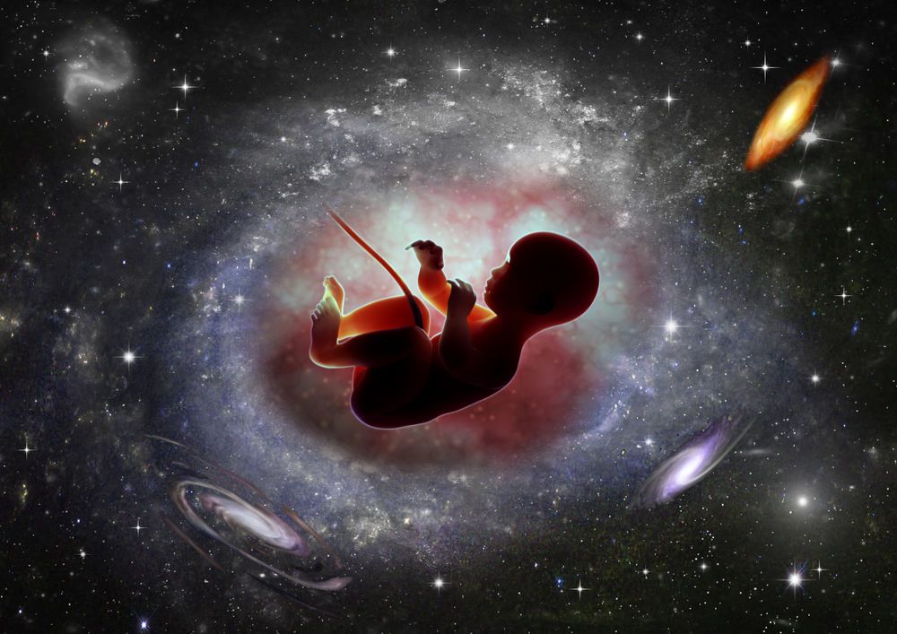 هل يمكن حدوث حمل أو ولادة في الفضاء؟