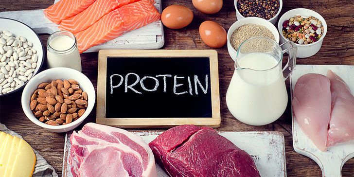 التدخل تظهر لك عقل  ما هي البروتينات ؟ نظرة عامة على البروتين - أنا أصدق العلم