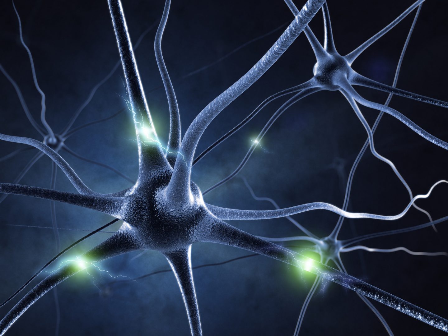 دراسة جديدة: يُفَعِّل دماغك شبكات عصبية جديدة عند البلوغ