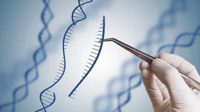 ال dna هو الجزء المسؤول عن الصفات الوراثية في الخلية