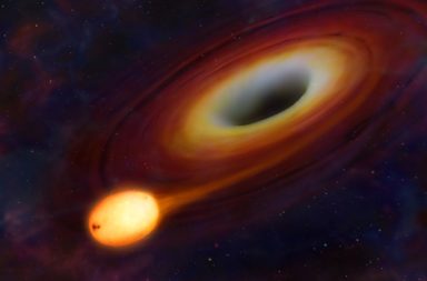 نجم استطاع النجاة من التهام ثقب أسود عملاق - سلوك نفثات أشعة إكس الغريبة الصادرة من الثقب الأسود - الفرار من ثقب أسود - مدار الثقب الأسود
