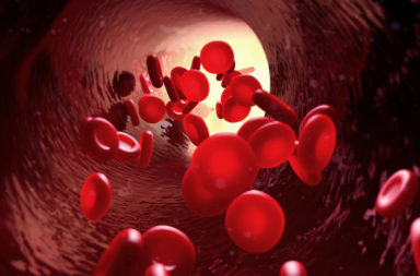 مفاجأة! خلايا الدم الحمراء تؤدي دورًا مهمًا في جهازنا المناعي - أكدت دراسة حديثة أن خلايا الدم الحمراء تؤدي أيضًا دورًا مهمًا في العملية الالتهابية