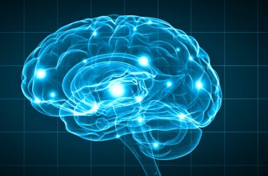 وجد باحثون في دراسة أن الفروقات الدماغية لم تقتصر بين الأشخاص المنعزلين وغير المنعزلين فقط، بل إنها موجودة بين الأشخاص المنعزلين أيضًا