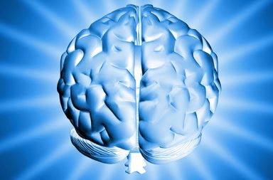 ماهي البقعة الزرقاء الموجودة في الدماغ والتي تساعدك على تركيز انتباهك؟ الانتقال من حالة عدم التركيز إلى أقصى درجات التركيز والانتباه