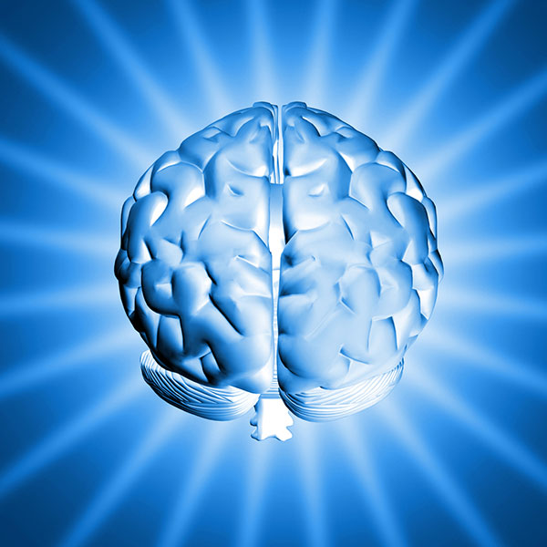 ماهي البقعة الزرقاء الموجودة في الدماغ والتي تساعدك على تركيز انتباهك؟