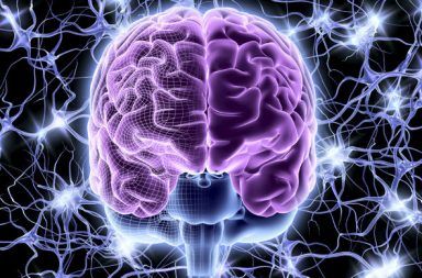 دماغنا يكون تراكيبًا في 11 بعدًا الأبعاد التي يتخيلها الدماغ فضاء من أحد عشر بعدًا شكل ثلاثي الأبعاد شكل رباعي الأبعاد القشرة المخية