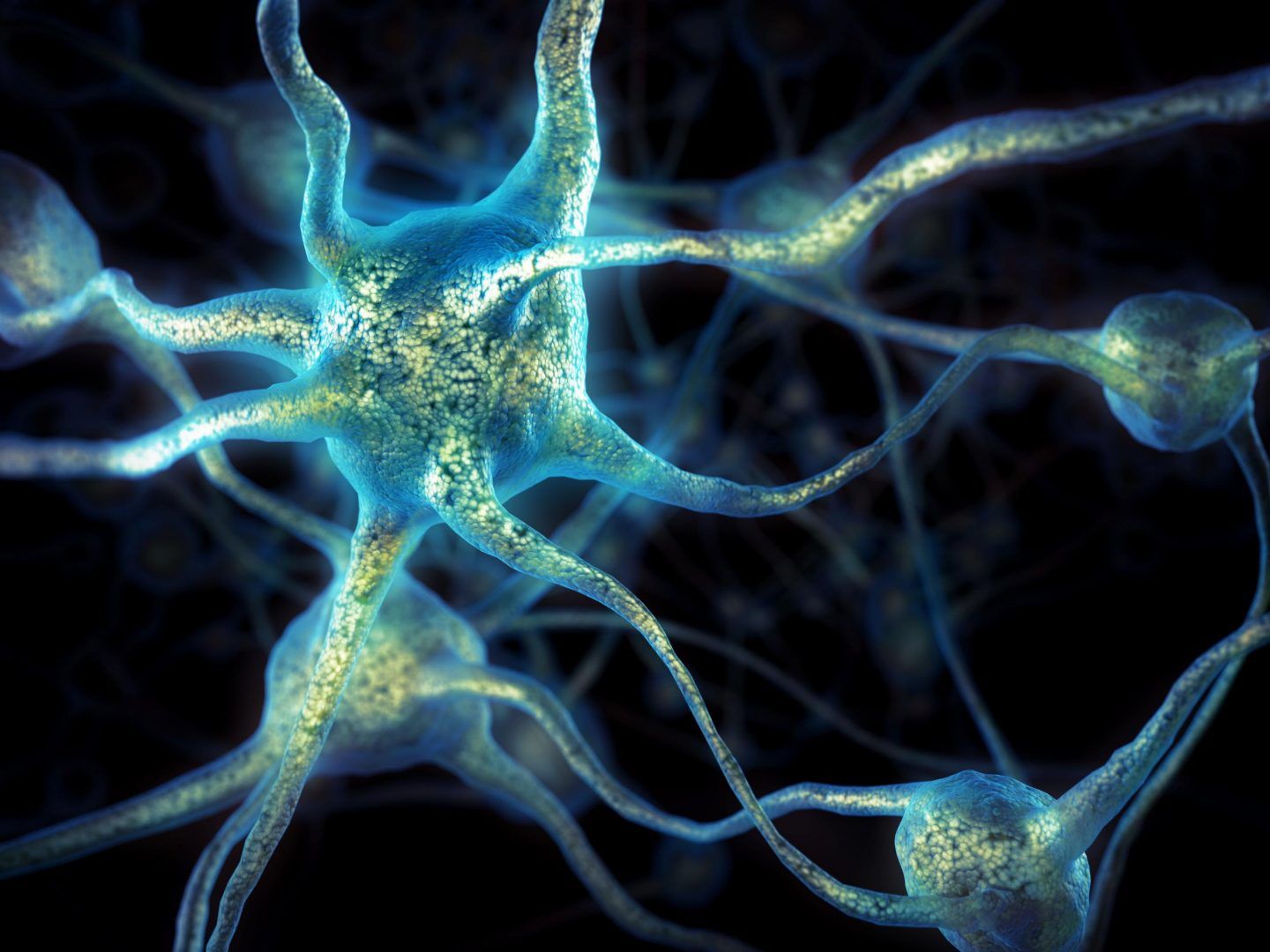 مفاجأة: وجد العلماء خلايا فتية في دماغ عجوز، ما السبب؟