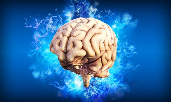 تلف الدماغ الأسباب والأعراض والتشخيص والعلاج أنا أصدق العلم