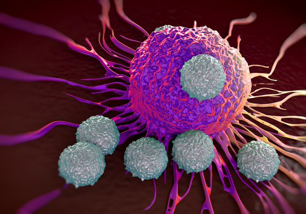 الصيام يقضي على الخلايا السرطانية في حالة الابيضاض اللمفاوي الحاد !