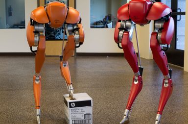 ابتكر الباحثون روبوتًا تعلم المشي خلال ساعة فقط معتمدين على خوارزمية مولد الأنماط المركزي. تعرف على هذا الروبوت وكيفية عمل الخوارزمية
