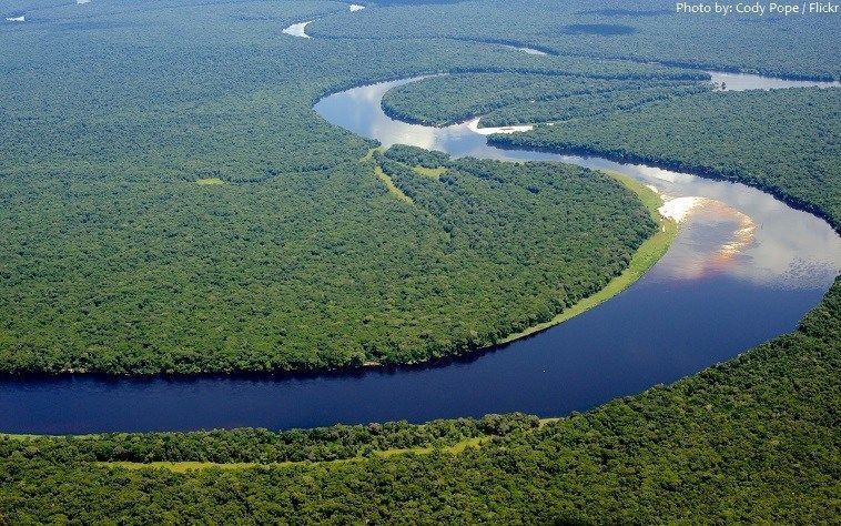 نهر الكونغو - حقائق عن نهر الكونغو