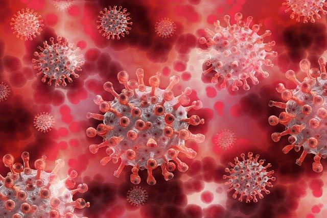 يدفع كوفيد-19 مناعة البعض لمهاجمة خلاياهم الطبيعية، ما يسبب أعراضًا شديدة