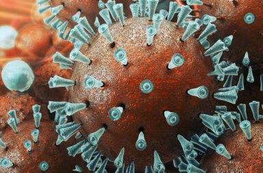 اكتشاف فيروس يحمل جينات غير معروفة من قبل - أصغر أشكال الحياة وأكثرها غموضًا على وجه الأرض - أغرب الفيروسات المعروفة - الأنسجة الحية