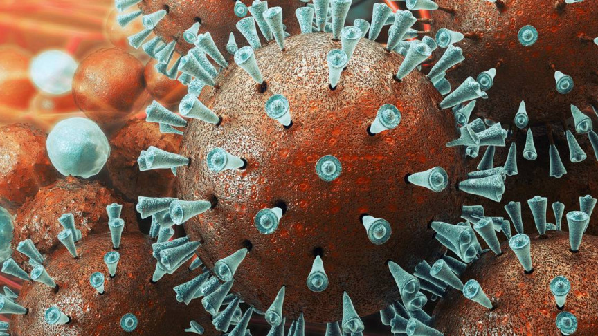 اكتشاف فيروس يحمل جينات غير معروفة من قبل!