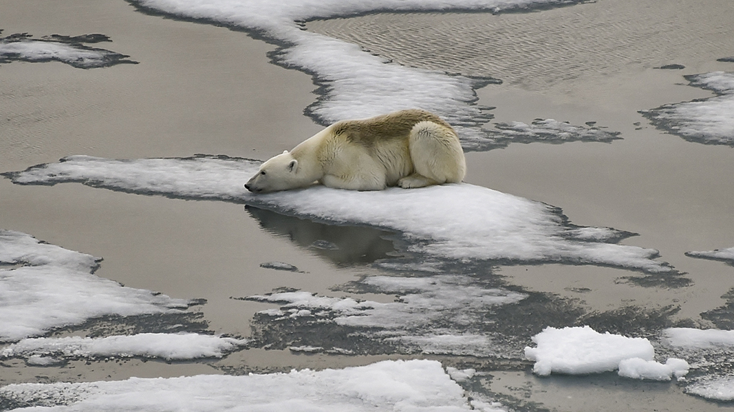 ما سبب تزايد ذوبان الجليد في القطب الشمالي بعد العاصفة التي ضربته؟