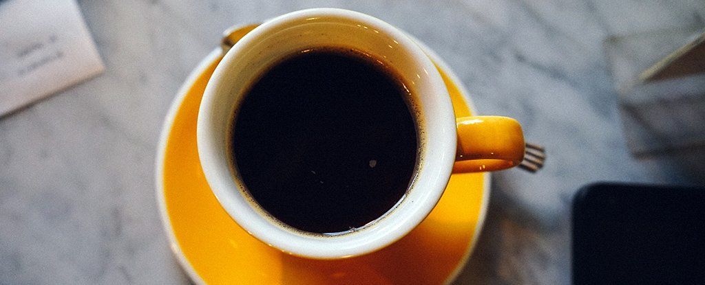 هل تسبب القهوة التجفاف؟