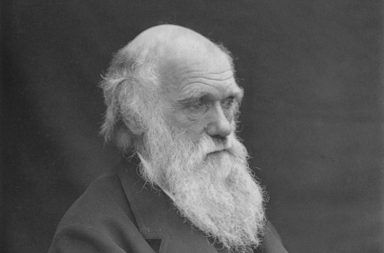 من هو تشارلز داروين