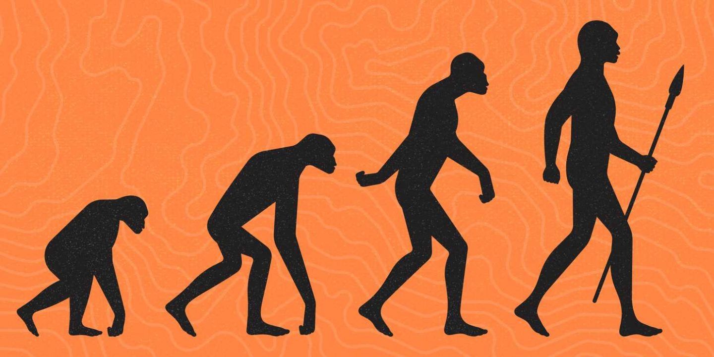 اوضح 8 دلائل على التطور في جسد الإنسان