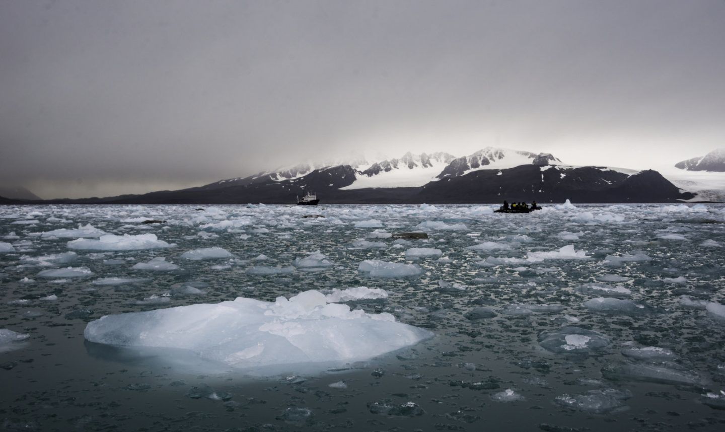 انخفاض المستويات العالمية للجليد البحري بمعدل ينذر بالخطر