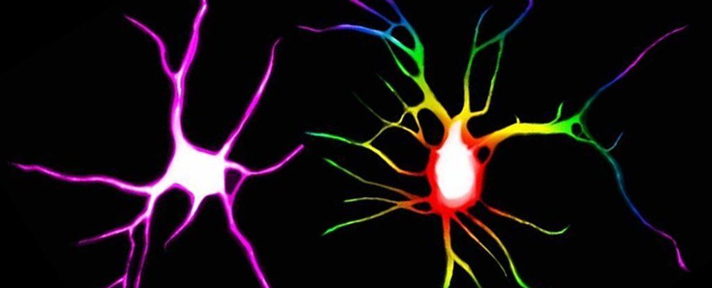 مفاجأة: الأدوية المخدرة قادرة على إصلاح الشبكات العصبية التالفة