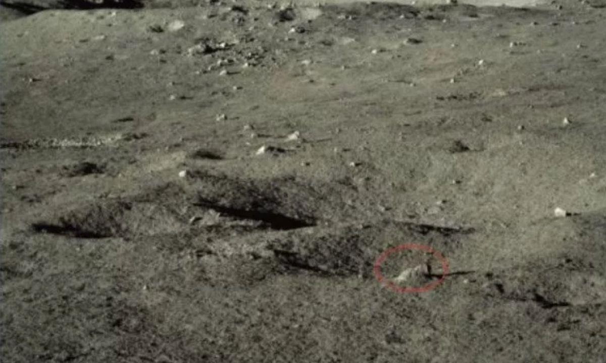 أجزاء صخرية، تشمل عينة مستهدفة للتحليل، اكتشفتها المركبة Yutu-2