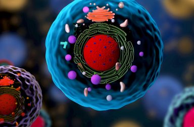 خلصت دراسة إلى وجود أجزاء من حمض نووي فيروسي قديم (يسمى الفيروس الرجعي أو القَهْقَرِي retroviruses) تدخل في في جينوم البشر. الفيروسات الرجعية