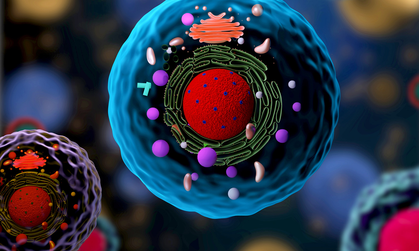 وجود حمض نووي فيروسي قديم يحمي البشر من العدوى