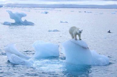 القطب الشمالي سيصبح خاليًا من الجليد في الصيف - اختفاء الجليد البحري - المساحات المغطاة بالغطاء الجليدي البحري - ذوبان الثلوج