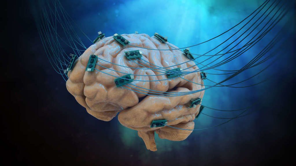 لأول مرة: العلماء يصلون الدماغ البشري بالانترنيت