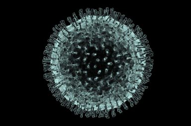بروتين مناعي يمنع عدوى كوفيد-19 الشديدة - الاستجابة المناعية الفطرية ضد العدوى الفيروسية - عملية نسخ الفيروس لنفسه - الخلايا المناعية - الإنترفيرون